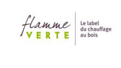 Flamme verte cheminée